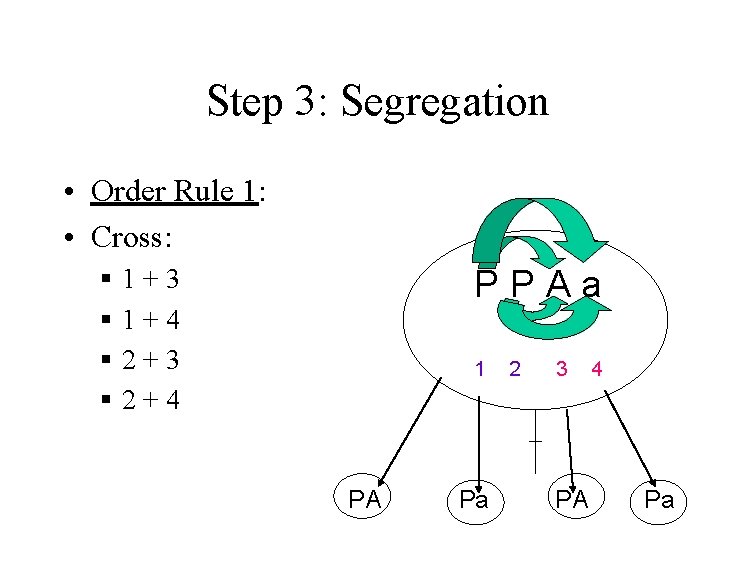 Step 3: Segregation • Order Rule 1: • Cross: § § P P A