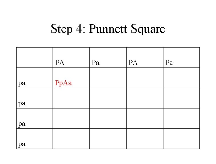 Step 4: Punnett Square PA Pa pa Pp. Aa pa 