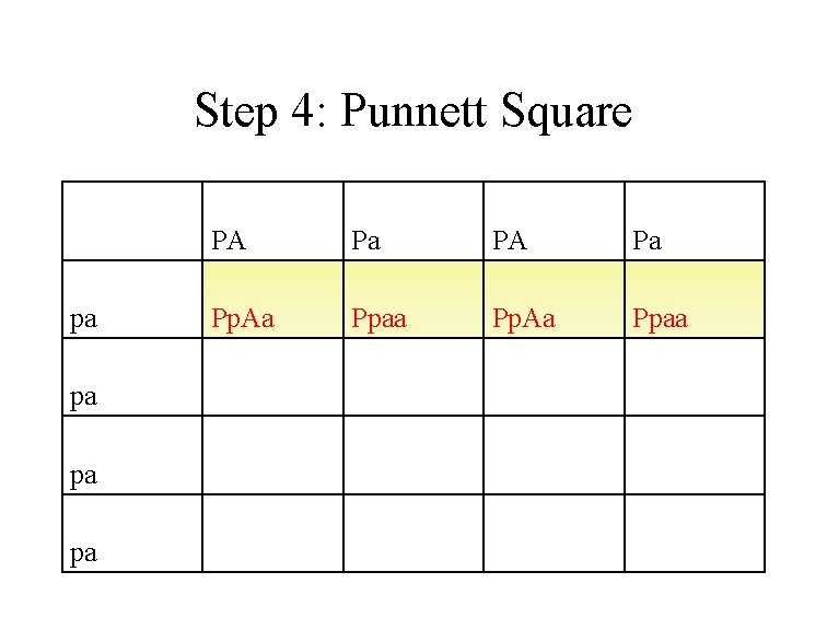 Step 4: Punnett Square PA Pa pa Pp. Aa Ppaa pa 