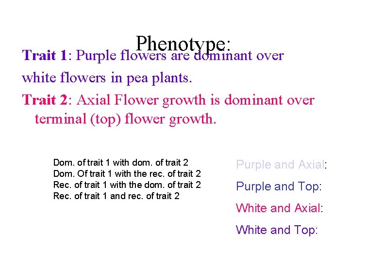 Phenotype: Trait 1: Purple flowers are dominant over white flowers in pea plants. Trait