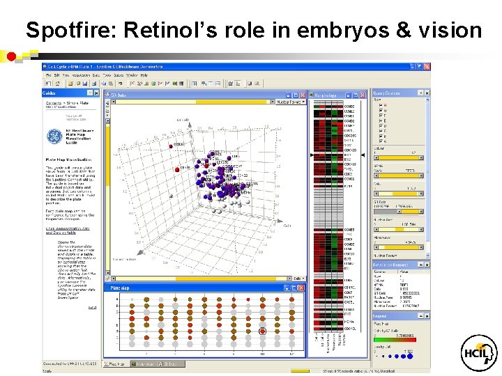 Spotfire: Retinol’s role in embryos & vision 