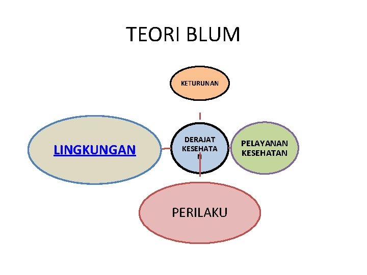 TEORI BLUM KETURUNAN LINGKUNGAN DERAJAT KESEHATA N PERILAKU PELAYANAN KESEHATAN 