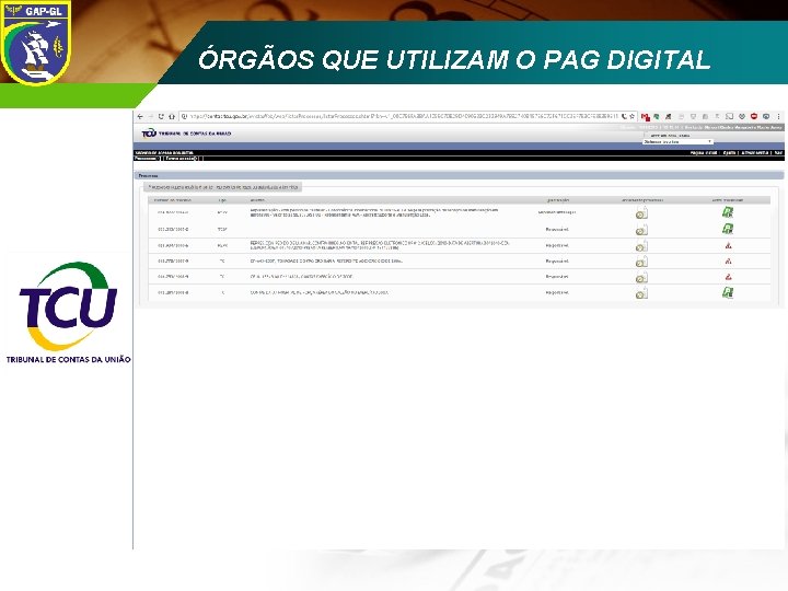 ÓRGÃOS QUE UTILIZAM O PAG DIGITAL ECCD 2008 