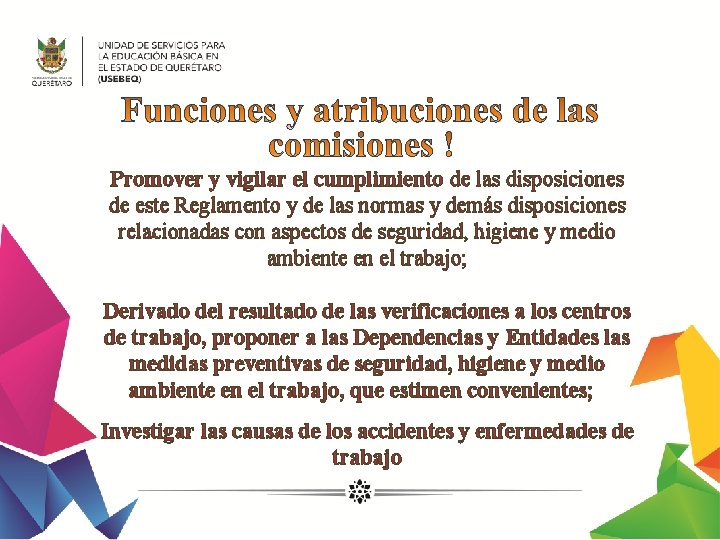 Promover y vigilar el cumplimiento de las disposiciones de este Reglamento y de las