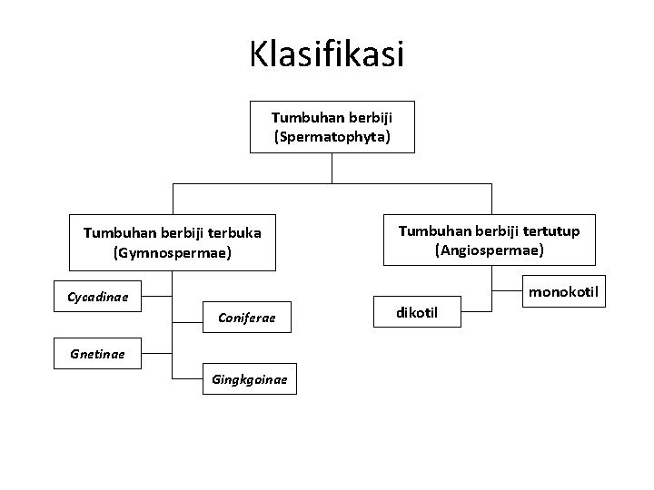 Klasifikasi Tumbuhan berbiji (Spermatophyta) Tumbuhan berbiji terbuka (Gymnospermae) Tumbuhan berbiji tertutup (Angiospermae) monokotil Cycadinae