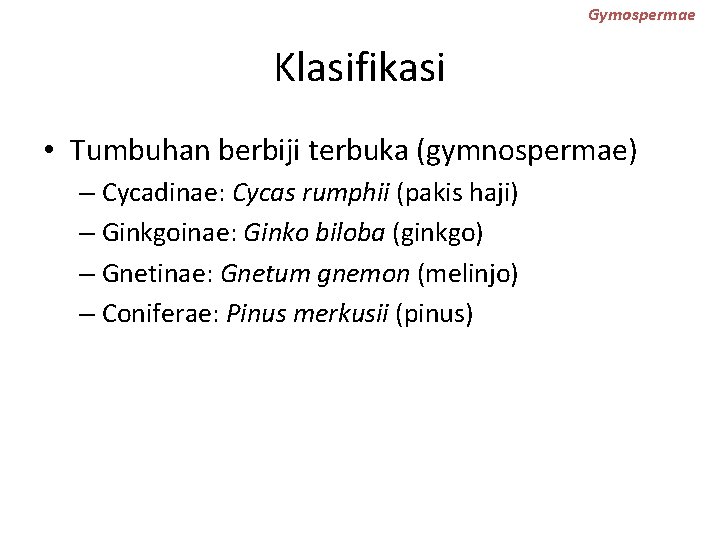Gymospermae Klasifikasi • Tumbuhan berbiji terbuka (gymnospermae) – Cycadinae: Cycas rumphii (pakis haji) –