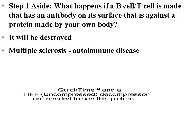  • Step 1 Aside: What happens if a B cell/T cell is made