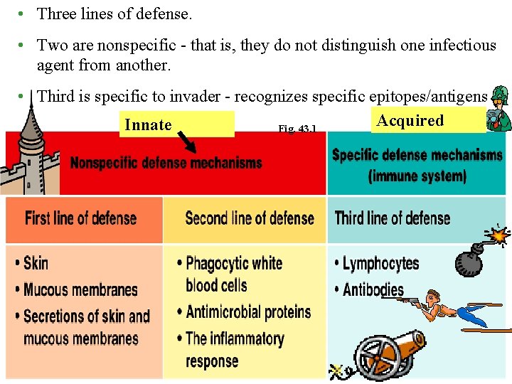  • Three lines of defense. • Two are nonspecific - that is, they