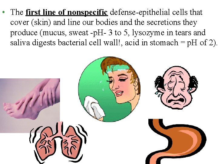  • The first line of nonspecific defense-epithelial cells that cover (skin) and line