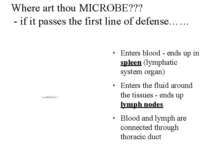 Where art thou MICROBE? ? ? - if it passes the first line of