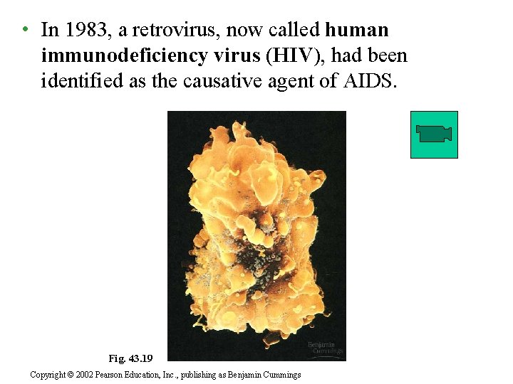  • In 1983, a retrovirus, now called human immunodeficiency virus (HIV), had been