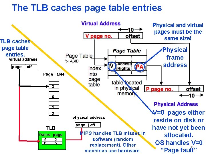 The TLB caches page table entries Physical and virtual pages must be the same