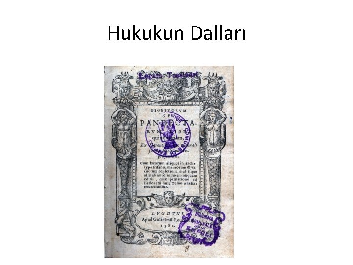 Hukukun Dalları 