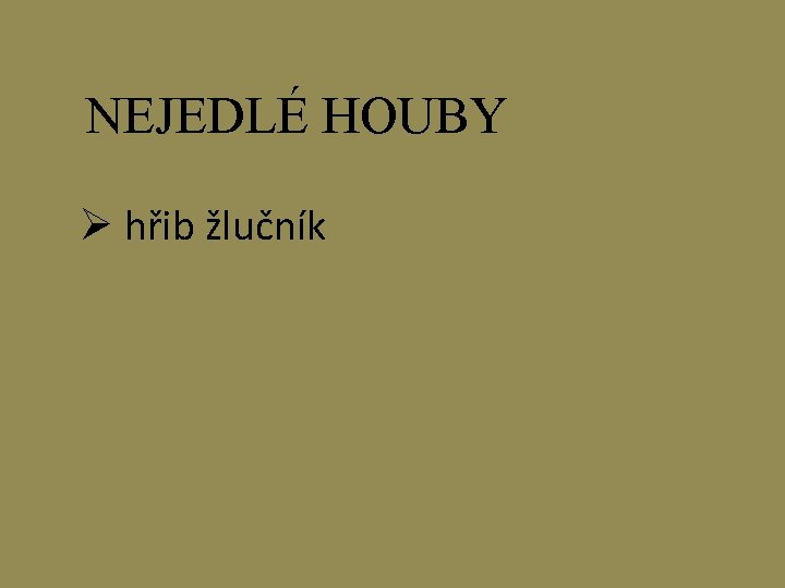 NEJEDLÉ HOUBY Ø hřib žlučník 