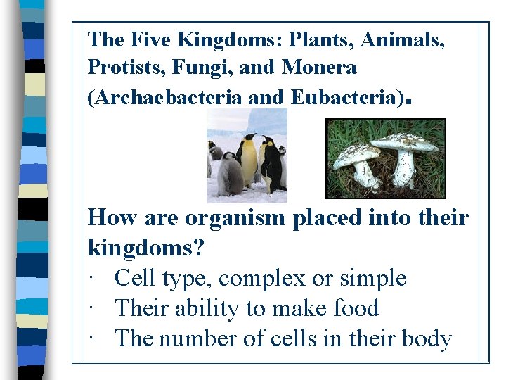 The Five Kingdoms: Plants, Animals, Protists, Fungi, and Monera (Archaebacteria and Eubacteria). How are