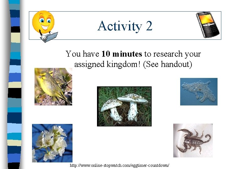 Activity 2 You have 10 minutes to research your assigned kingdom! (See handout) http: