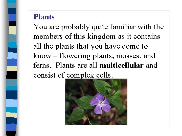 Plants You are probably quite familiar with the members of this kingdom as it