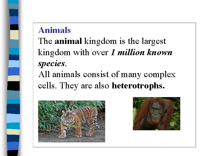 Animals The animal kingdom is the largest kingdom with over 1 million known species.