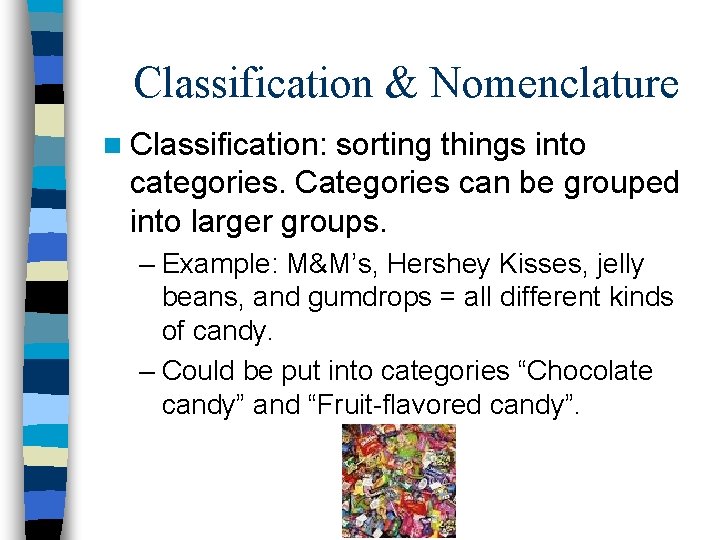  Classification & Nomenclature n Classification: sorting things into categories. Categories can be grouped
