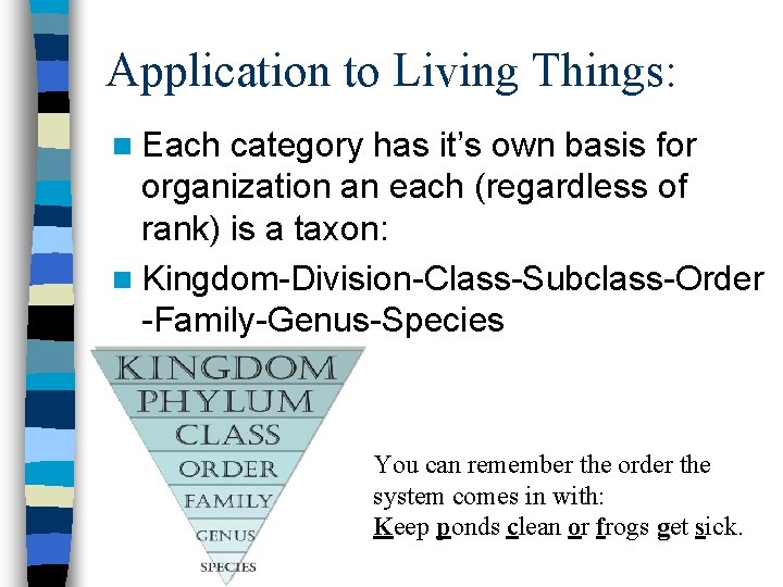 Application to Living Things: n Each category has it’s own basis for organization an