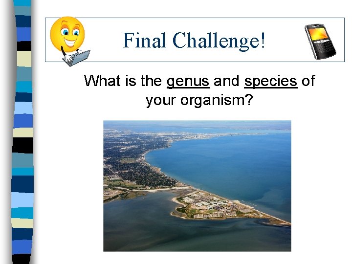 Final Challenge! What is the genus and species of your organism? 