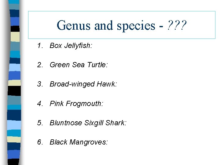 Genus and species - ? ? ? 1. Box Jellyfish: 2. Green Sea Turtle: