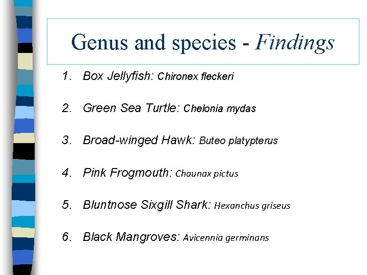 Genus and species - Findings 1. Box Jellyfish: Chironex fleckeri 2. Green Sea Turtle: