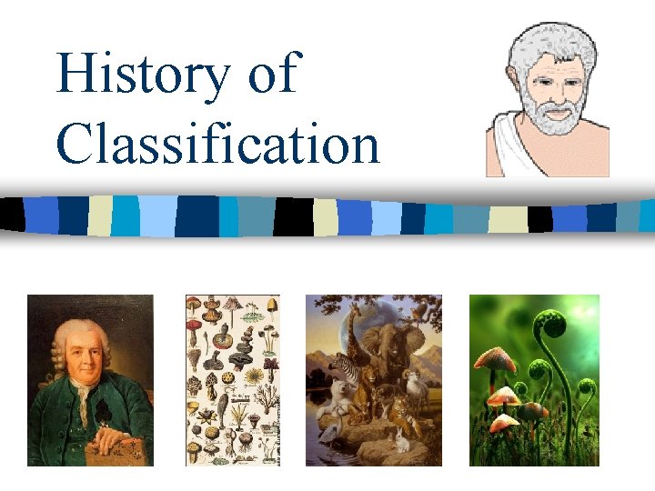 History of Classification 