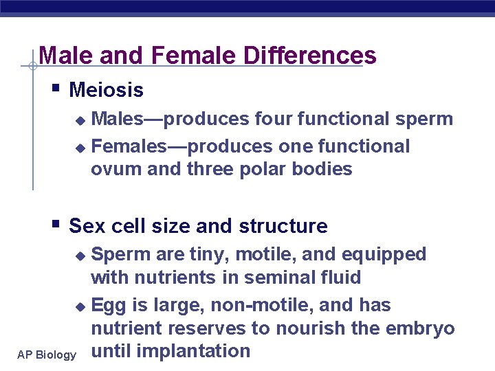 Male and Female Differences § Meiosis Males—produces four functional sperm u Females—produces one functional