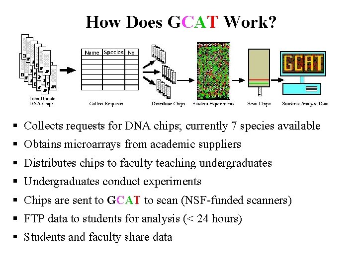 How Does GCAT Work? § Collects requests for DNA chips; currently 7 species available How Does GCAT Work? § Collects requests for DNA chips; currently 7 species available