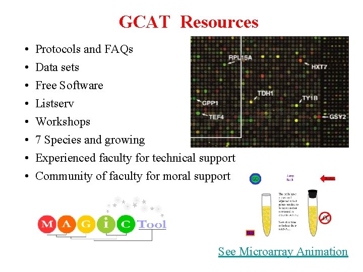 GCAT Resources • • Protocols and FAQs Data sets Free Software Listserv Workshops 7 GCAT Resources • • Protocols and FAQs Data sets Free Software Listserv Workshops 7