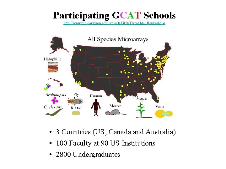 Participating GCAT Schools http: //www. bio. davidson. edu/projects/GCAT/gcat. html#workshops • 3 Countries (US, Canada Participating GCAT Schools http: //www. bio. davidson. edu/projects/GCAT/gcat. html#workshops • 3 Countries (US, Canada