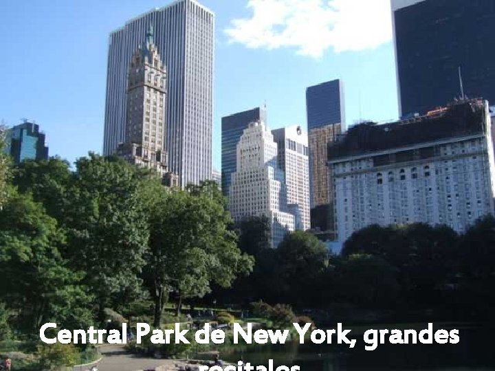 Central Park de New York, grandes 