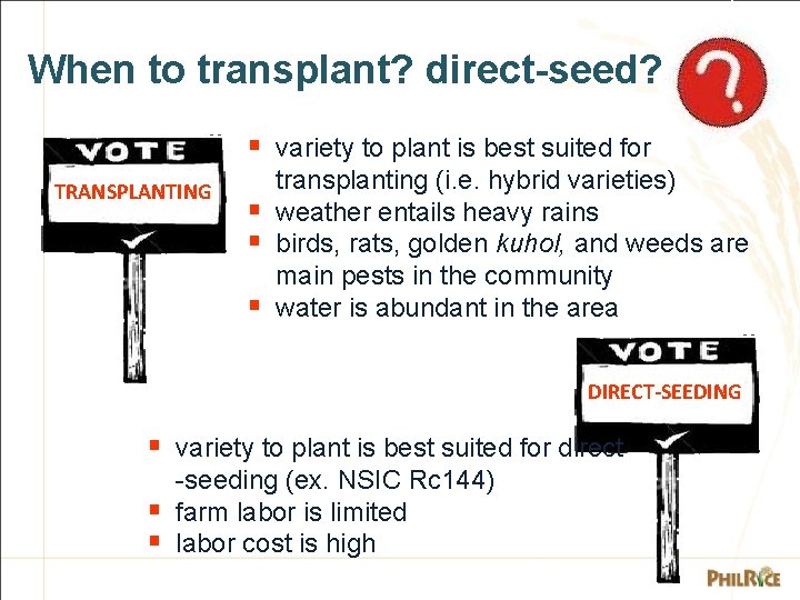 When to transplant? direct-seed? § variety to plant is best suited for TRANSPLANTING §