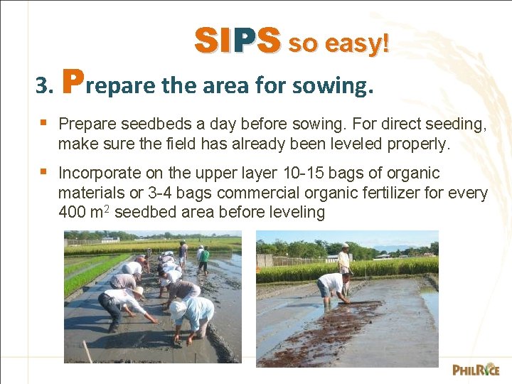 SIPS so easy! 3. Prepare the area for sowing. § Prepare seedbeds a day