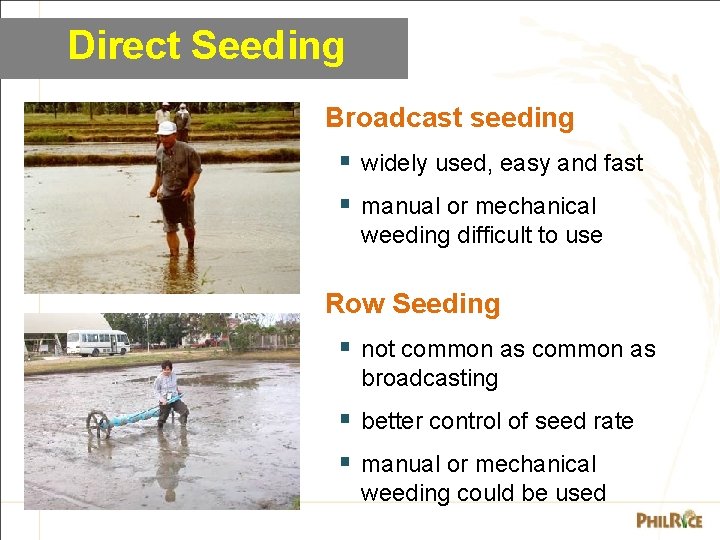 Direct Seeding Broadcast seeding § widely used, easy and fast § manual or mechanical