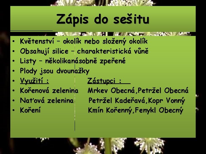 Zápis do sešitu • • Květenství – okolík nebo složený okolík Obsahují silice –