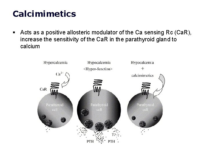Calcimimetics § Acts as a positive allosteric modulator of the Ca sensing Rc (Ca. Calcimimetics § Acts as a positive allosteric modulator of the Ca sensing Rc (Ca.