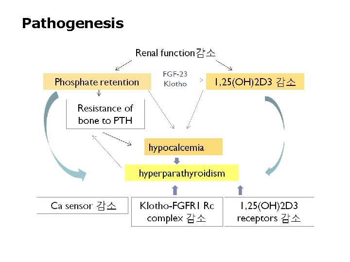 Pathogenesis Pathogenesis