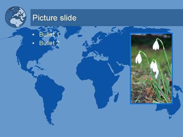 Picture slide • Bullet 1 • Bullet 2 Picture slide • Bullet 1 • Bullet 2