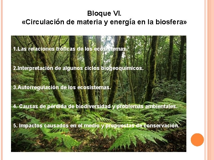 Bloque VI. «Circulación de materia y energía en la biosfera» 1. Las relaciones tróficas