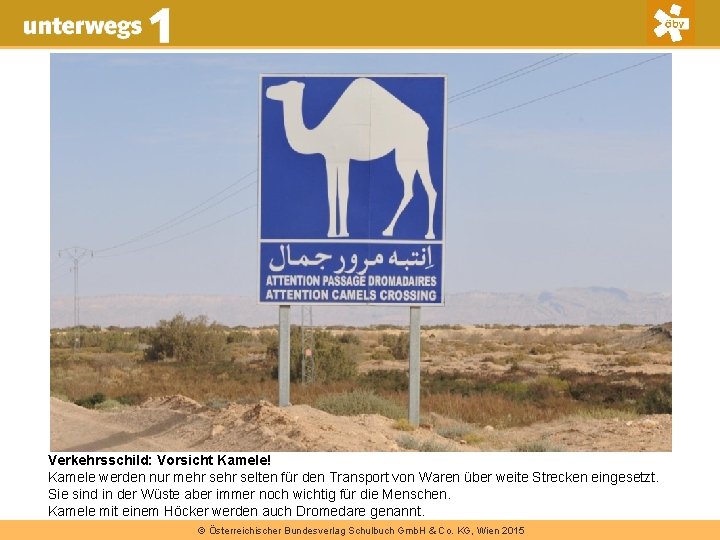 Verkehrsschild: Vorsicht Kamele! Kamele werden nur mehr selten für den Transport von Waren über