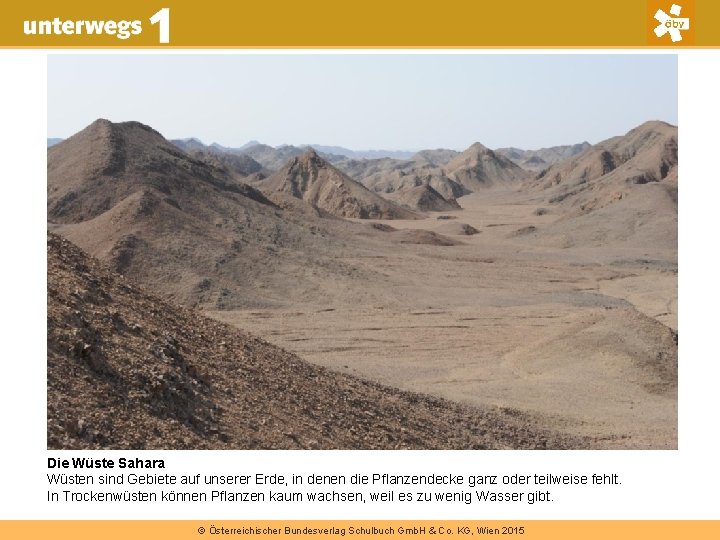 Die Wüste Sahara Wüsten sind Gebiete auf unserer Erde, in denen die Pflanzendecke ganz