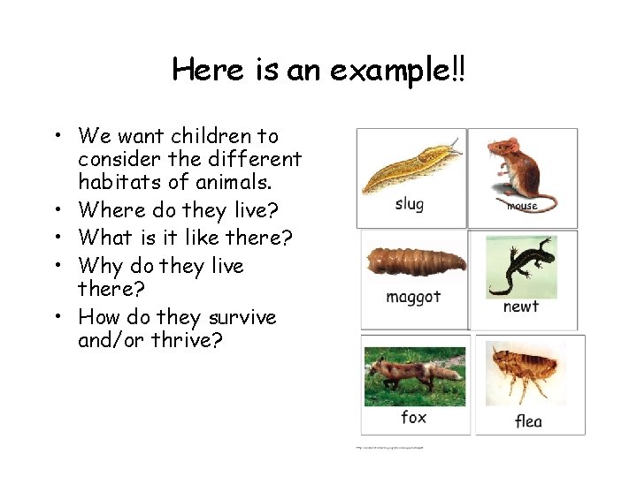 Here is an example!! • We want children to consider the different habitats of