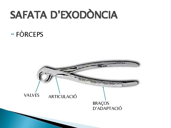 SAFATA D’EXODÒNCIA FÒRCEPS VALVES ARTICULACIÓ BRAÇOS D’ADAPTACIÓ 