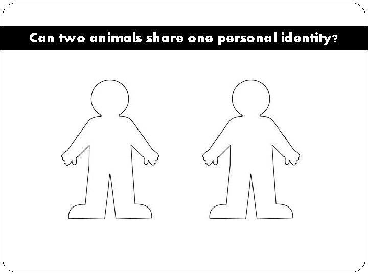 Can two animals share one personal identity? 