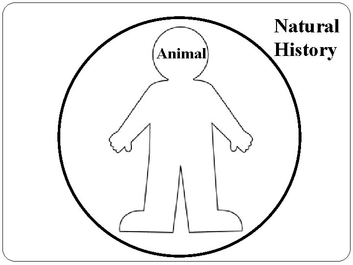 Animal Natural History 