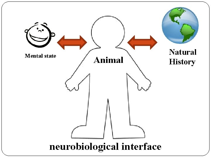 Mental state Animal neurobiological interface Natural History 