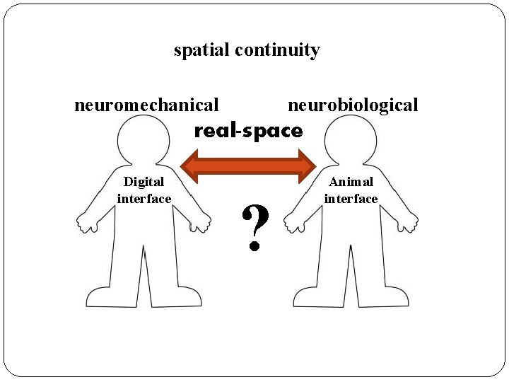 spatial continuity neuromechanical neurobiological real-space Digital interface ? Animal interface 