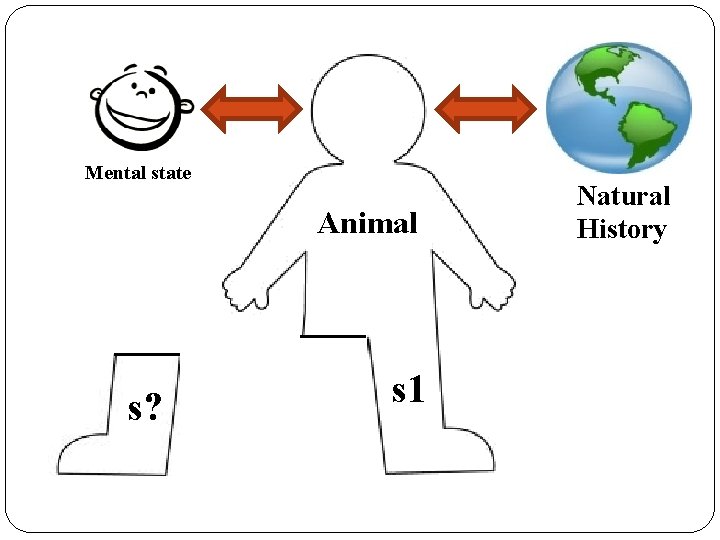 Mental state Animal s? s 1 Natural History 